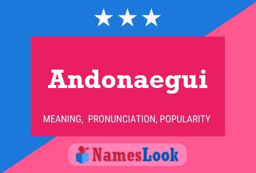 Andonaegui 名字海报