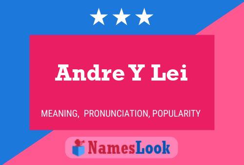 Andre Y Lei 名字海报