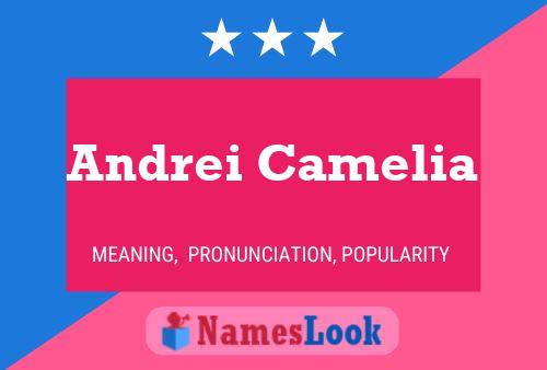 Andrei Camelia 名字海报