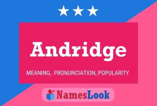 Andridge 名字海报