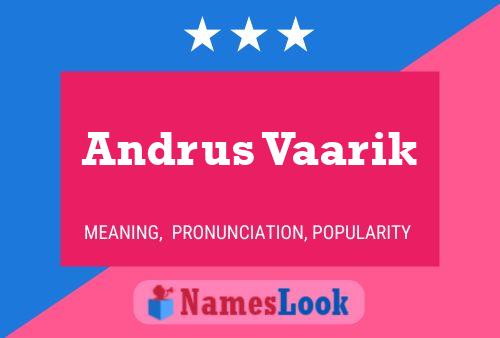 Andrus Vaarik 名字海报