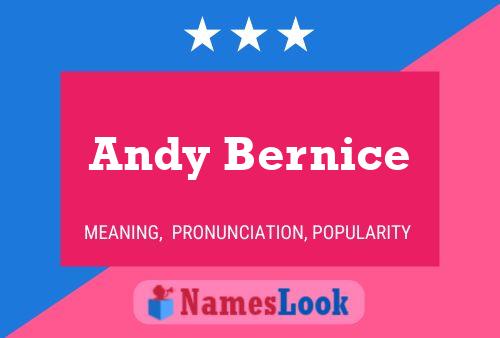 Andy Bernice 名字海报