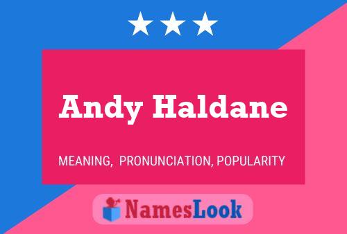 Andy Haldane 名字海报