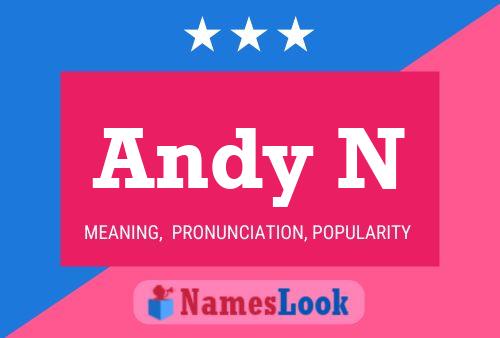 Andy N 名字海报