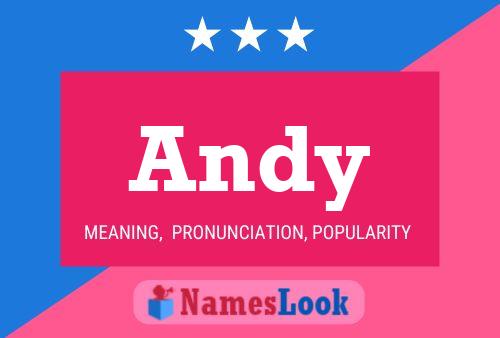 Andy 名字海报