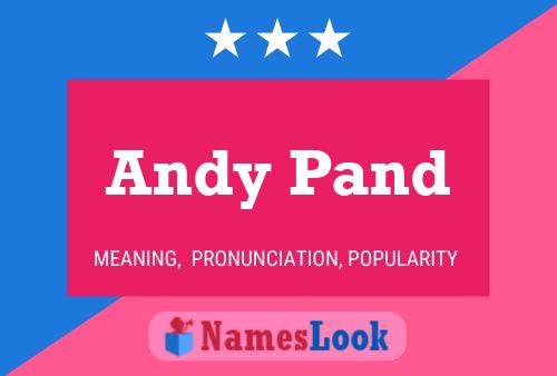 Andy Pand 名字海报