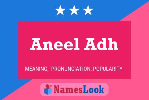 Aneel Adh 名字海报