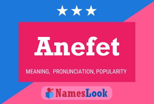 Anefet 名字海报