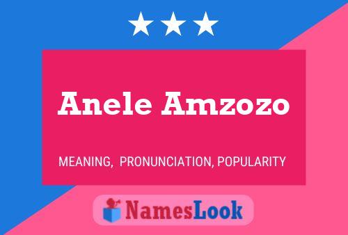 Anele Amzozo 名字海报