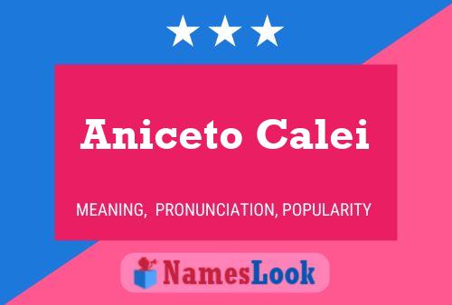 Aniceto Calei 名字海报