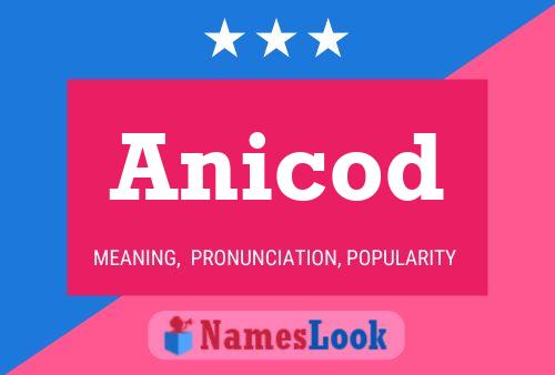 Anicod 名字海报