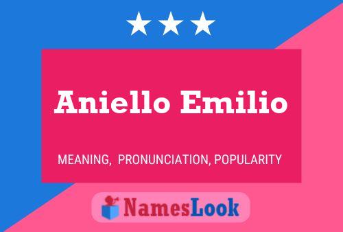 Aniello Emilio 名字海报