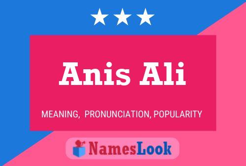 Anis Ali 名字海报