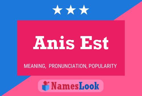 Anis Est 名字海报