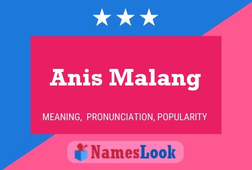 Anis Malang 名字海报