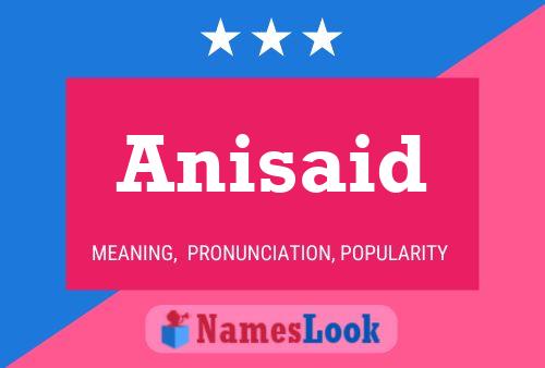 Anisaid 名字海报