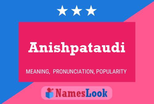 Anishpataudi 名字海报