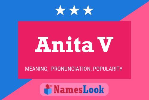 Anita V 名字海报