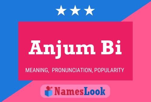 Anjum Bi 名字海报