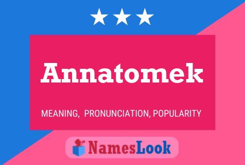 Annatomek 名字海报