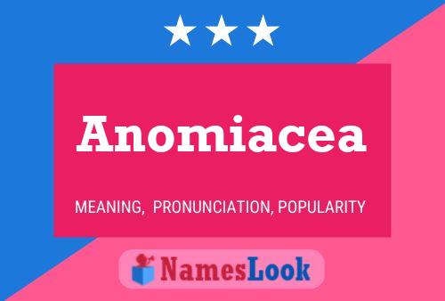 Anomiacea 名字海报