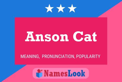 Anson Cat 名字海报