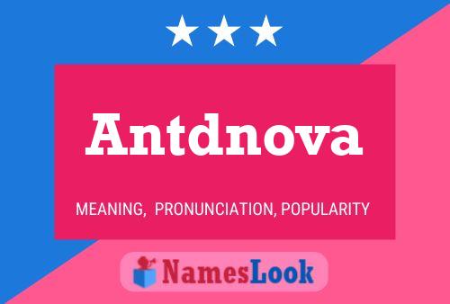 Antdnova 名字海报