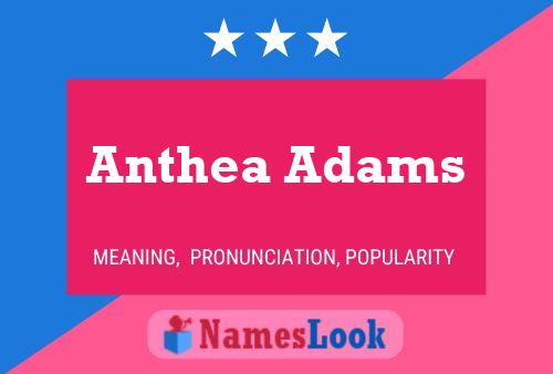 Anthea Adams 名字海报