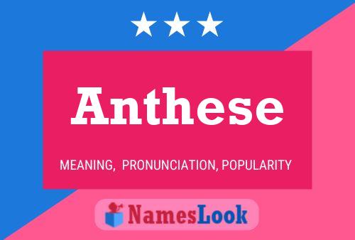 Anthese 名字海报