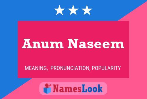 Anum Naseem 名字海报