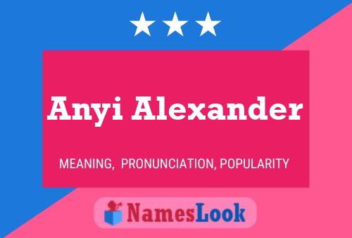 Anyi Alexander 名字海报