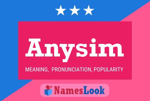 Anysim 名字海报