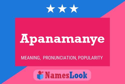 Apanamanye 名字海报