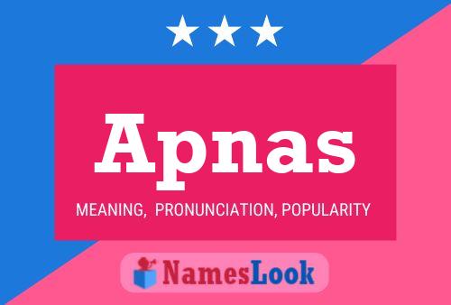 Apnas 名字海报