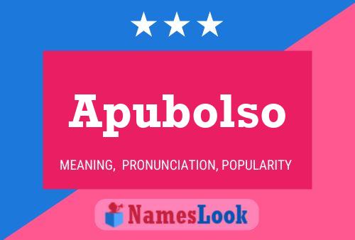 Apubolso 名字海报