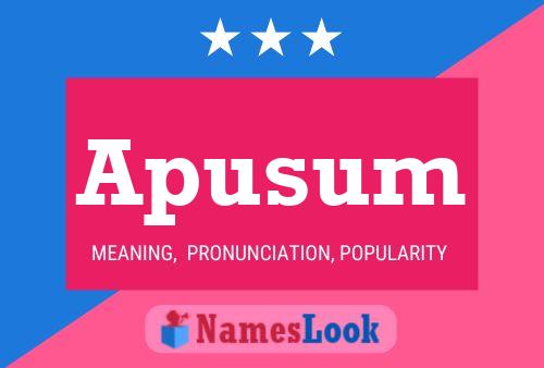 Apusum 名字海报