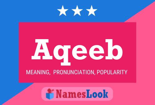 Aqeeb 名字海报