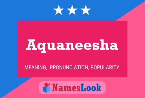 Aquaneesha 名字海报