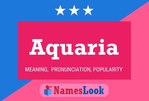 Aquaria 名字海报