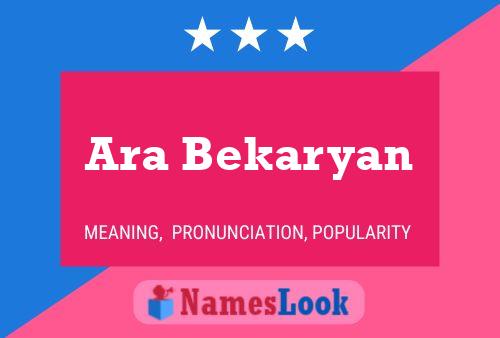 Ara Bekaryan 名字海报