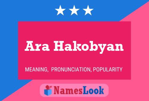 Ara Hakobyan 名字海报