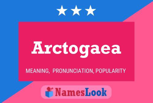 Arctogaea 名字海报