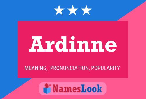 Ardinne 名字海报