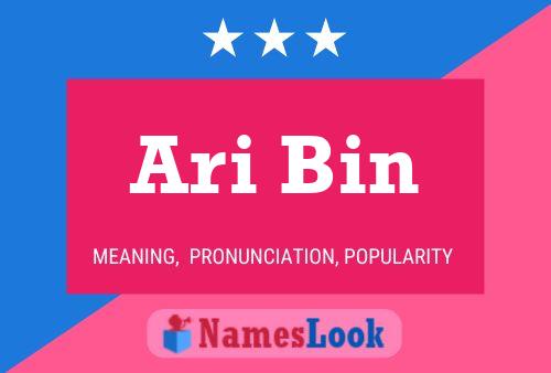 Ari Bin 名字海报