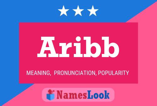 Aribb 名字海报