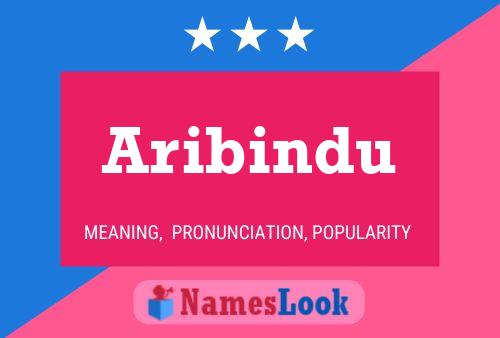 Aribindu 名字海报