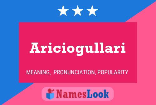 Ariciogullari 名字海报