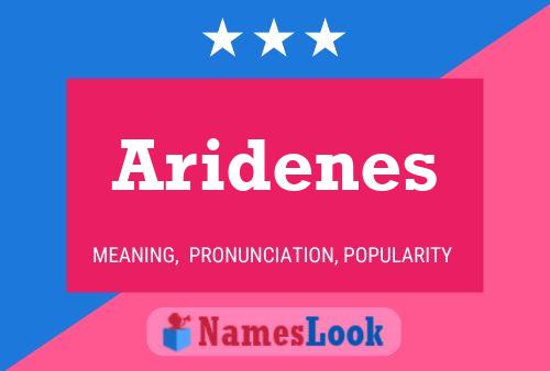 Aridenes 名字海报