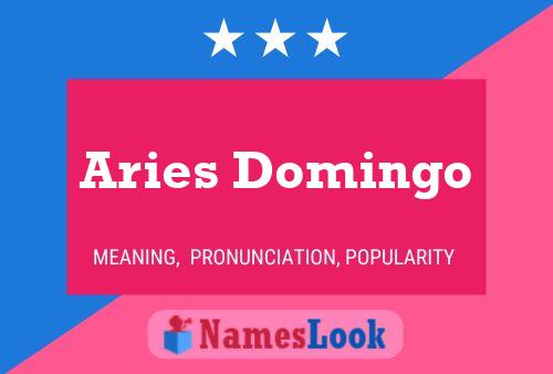 Aries Domingo 名字海报