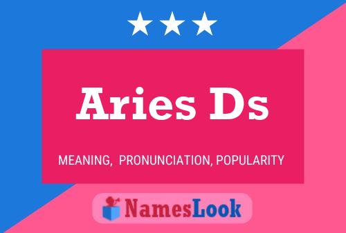 Aries Ds 名字海报